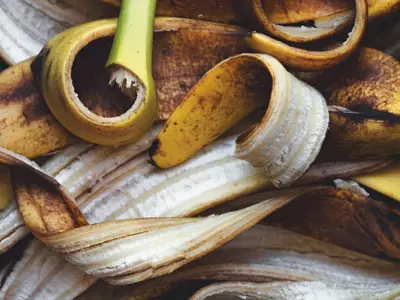 Organic waste