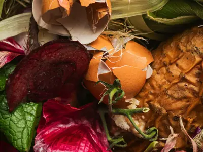 Organic waste